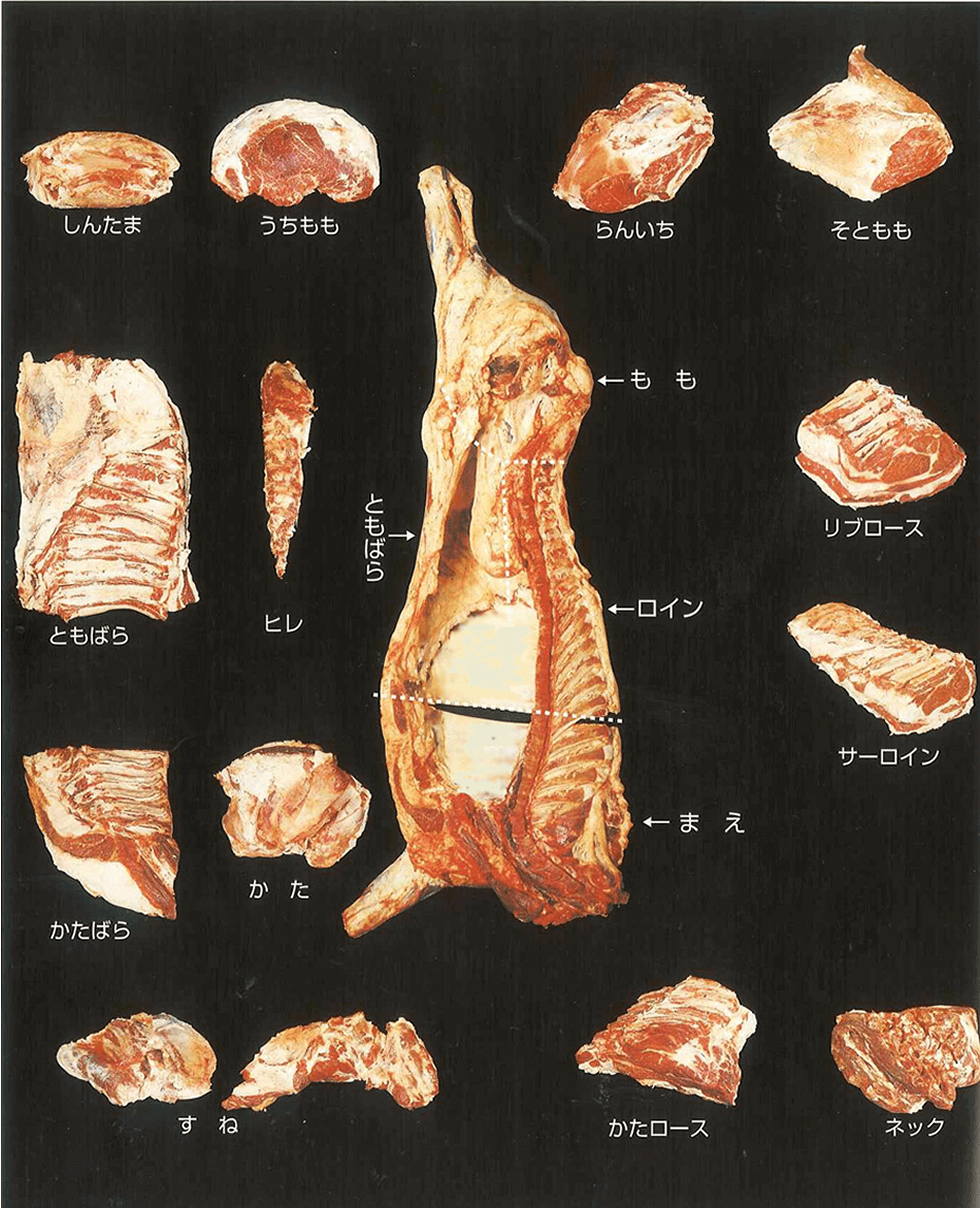 牛部分肉取引規格に基づく部分肉